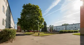 Idrottsgatan 32 74 MG 1635