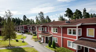 Östersund Torvalla Lussekatten1