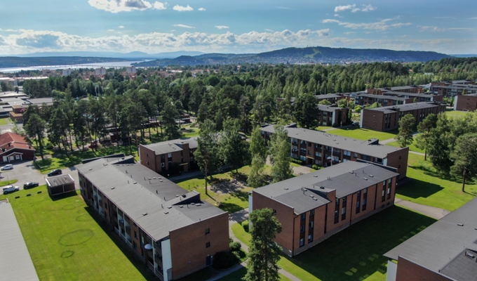 Körfältet