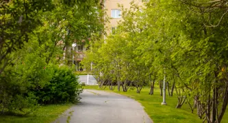 Luleå Radiomasten 3 16 7