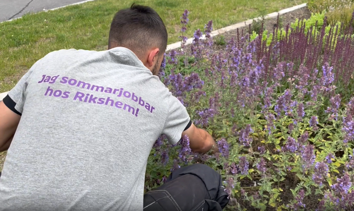 Rikshem Sommarjobb